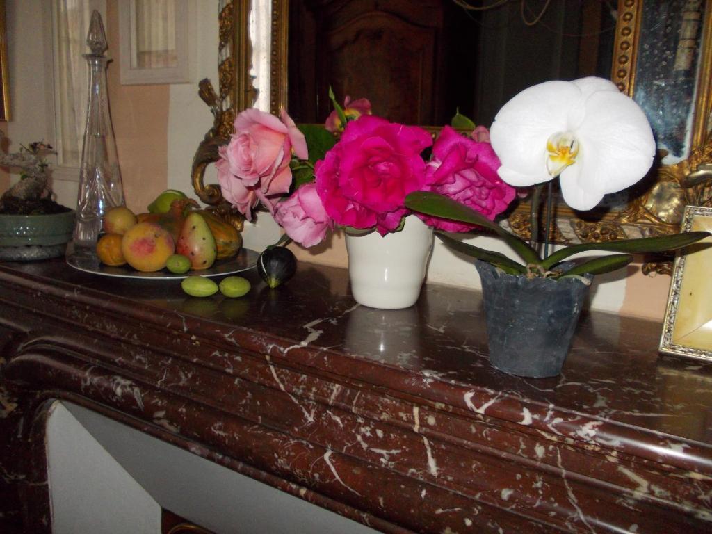 B&B Maison Gaudin Коньяк Экстерьер фото